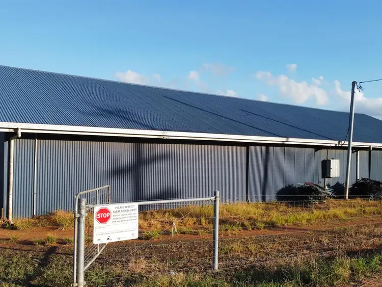 Seventh view of Homely rural property listing, 2180 Innisfail Japoon Road, Bombeeta QLD 4871