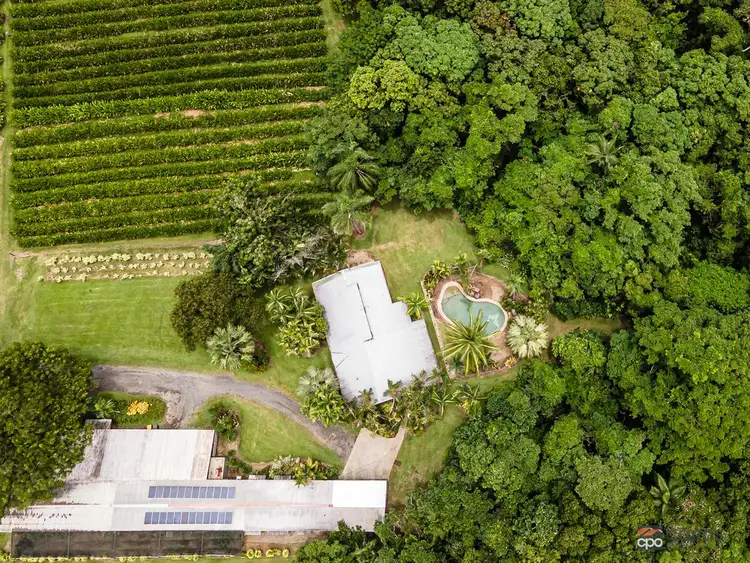 Sixth view of Homely rural property listing, 249 Warner Road, Gordonvale QLD 4865