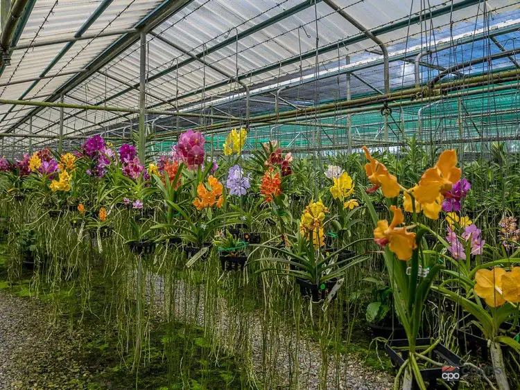 Third view of Homely rural property listing, 1-3 Grey Street, Gordonvale QLD 4865