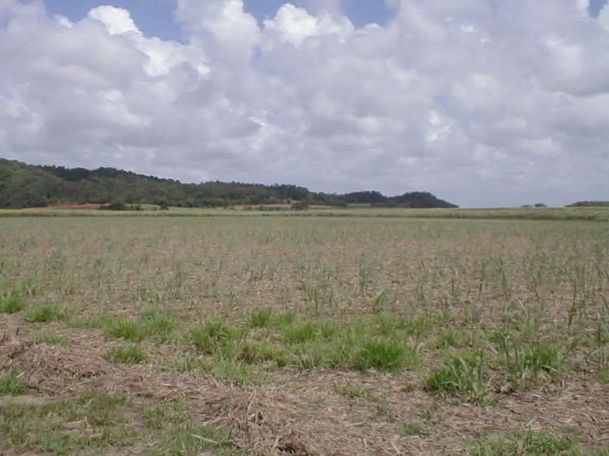 Main view of Homely rural property listing, Address available on request