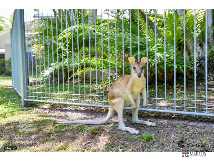 Third view of Homely unit listing, 132/2 Keem Street, Trinity Beach QLD 4879