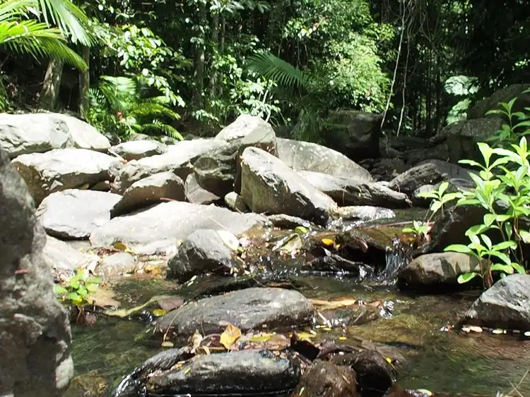 Fifth view of Homely land listing, 25 Foley Road, Palm Cove QLD 4879