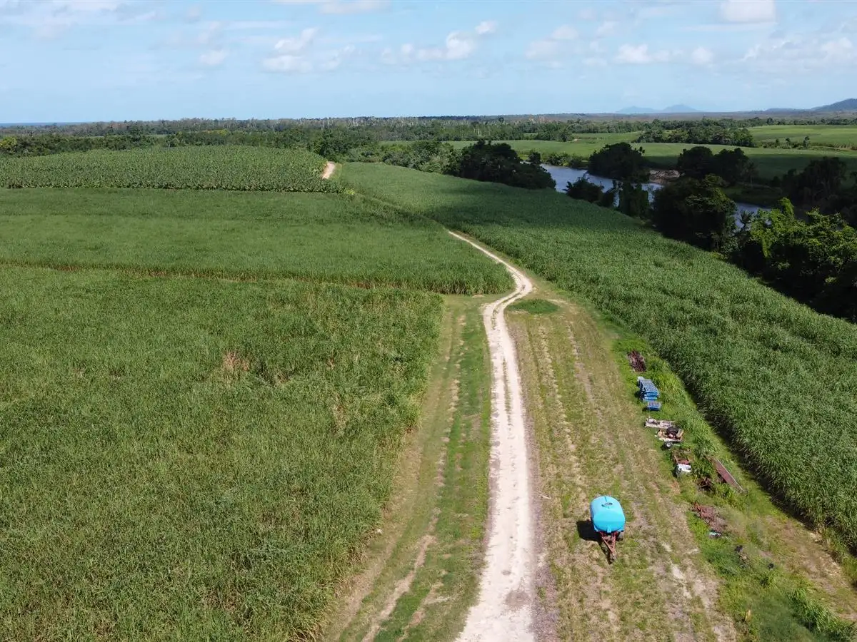 Main view of Homely rural property listing, Lot 0 Cowley Beach Road, Cowley QLD 4871