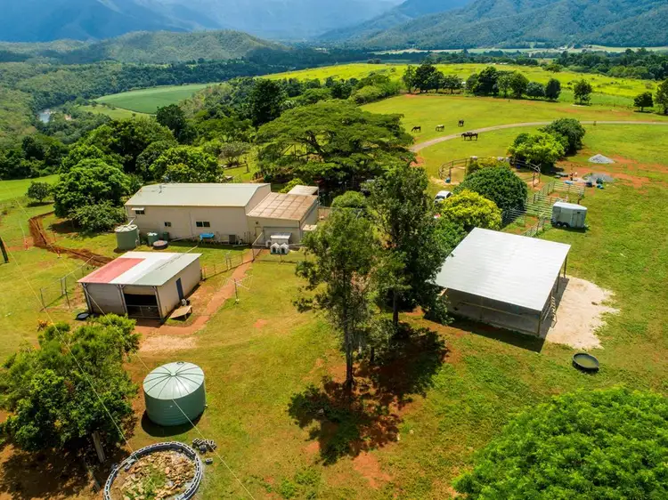 Third view of Homely rural property listing, 332 Goldsborough Road, Goldsborough QLD 4865