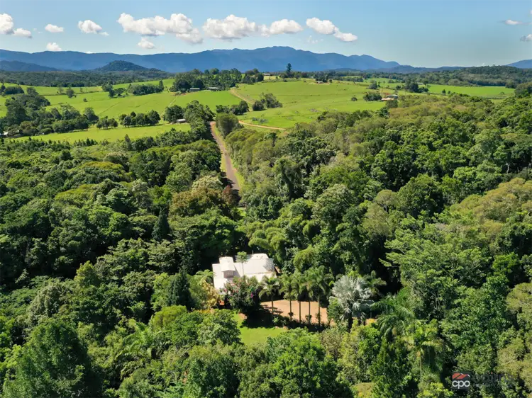 Sixth view of Homely rural property listing, 89 Gadgarra Road, Lake Barrine QLD 4884