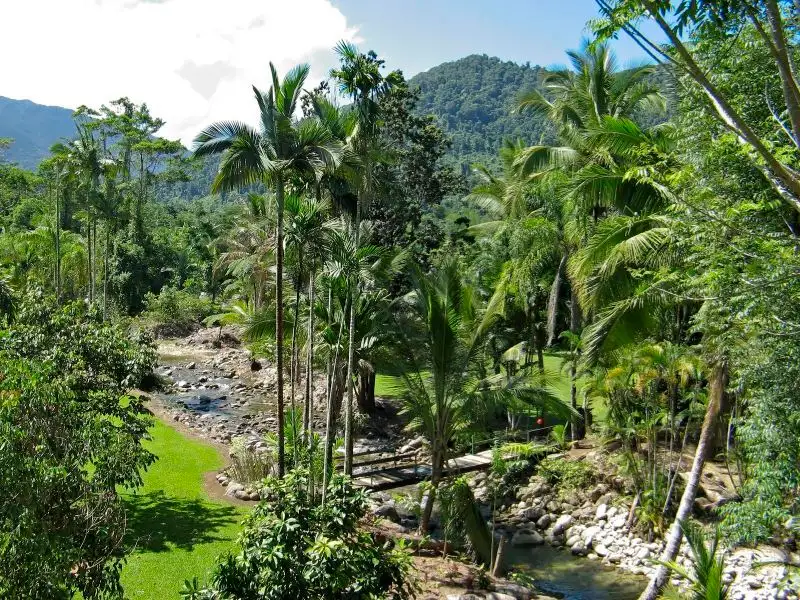 Main view of Homely rural property listing, Lot 2 Ellis Road, Bellenden Ker QLD 4871