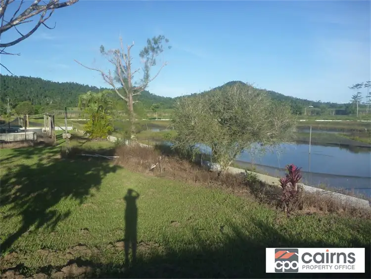 Third view of Homely house listing, 360 East Feluga Road, Tully QLD 4854