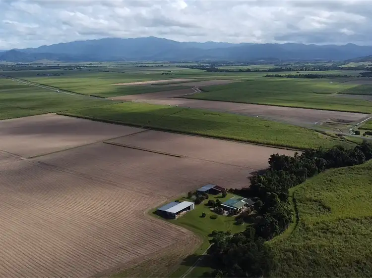Fourth view of Homely rural property listing, 280 McCutcheon Road, Cowley QLD 4871