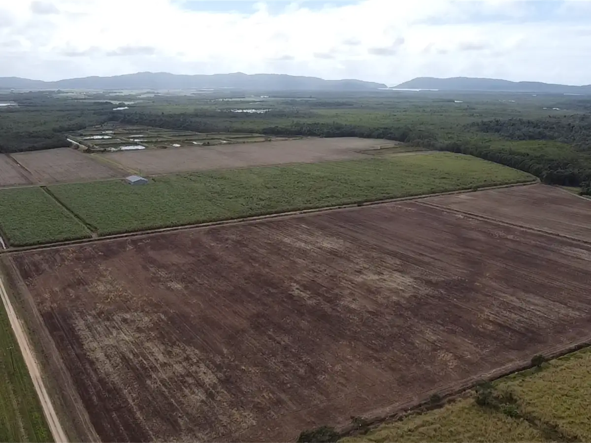 Main view of Homely rural property listing, 159 Eden Road, Cowley QLD 4871