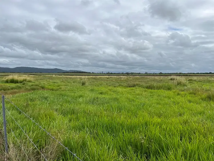 Second view of Homely rural property listing, 159 Eden Road, Cowley QLD 4871