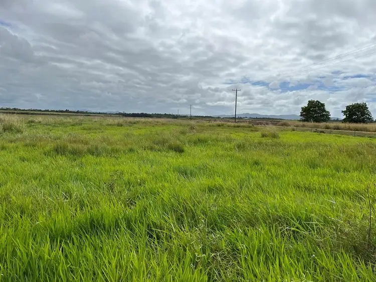 Third view of Homely rural property listing, 159 Eden Road, Cowley QLD 4871