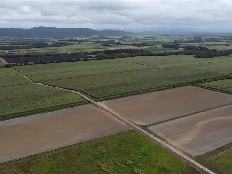 Fourth view of Homely rural property listing, 159 Eden Road, Cowley QLD 4871