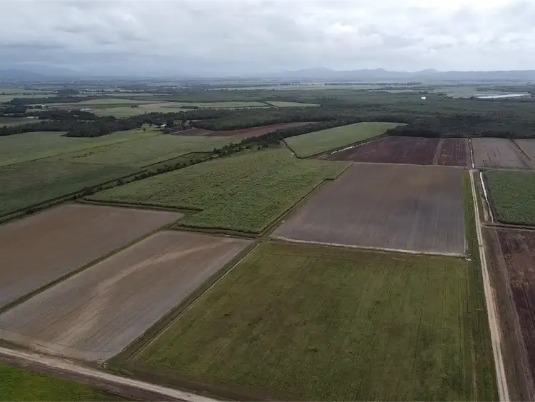 Seventh view of Homely rural property listing, 159 Eden Road, Cowley QLD 4871