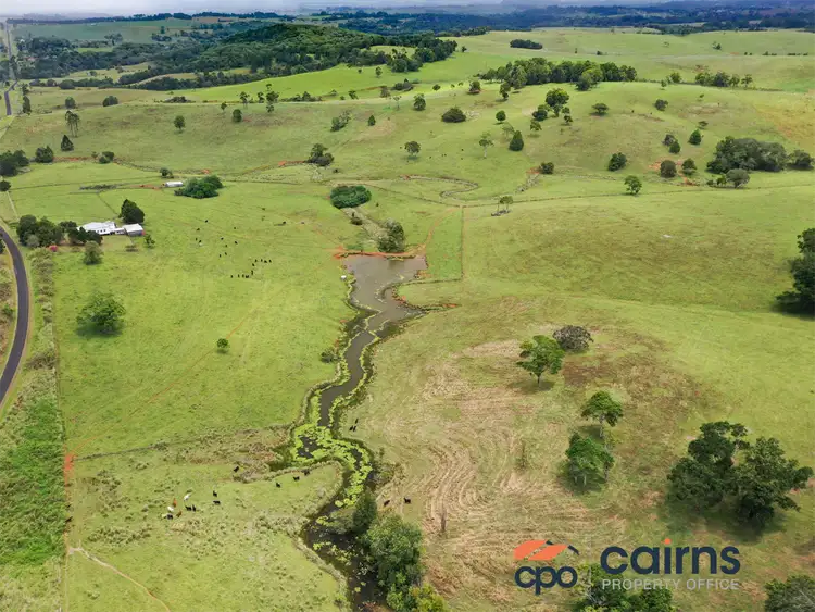 Second view of Homely rural property listing, 75 HAINES RD, Malanda QLD 4885