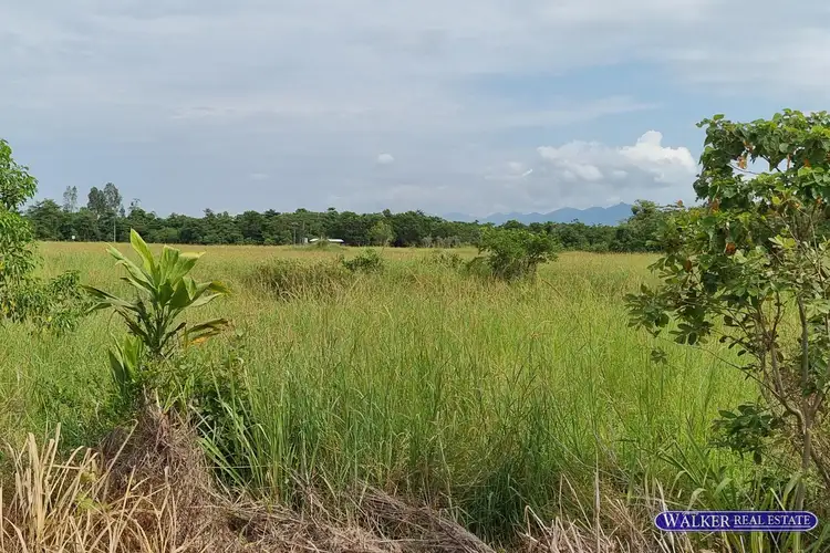 Third view of Homely land listing, LOT 2 & 3, SP 231075 Bruce Highway, Murrigal QLD 4854
