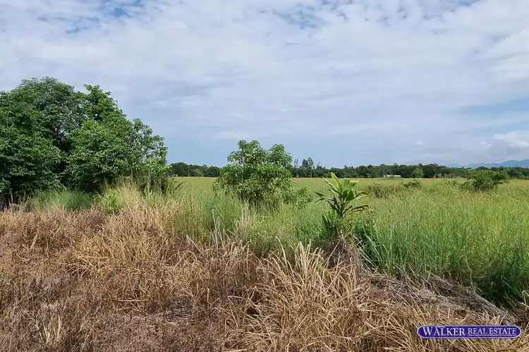Fourth view of Homely land listing, LOT 2 & 3, SP 231075 Bruce Highway, Murrigal QLD 4854