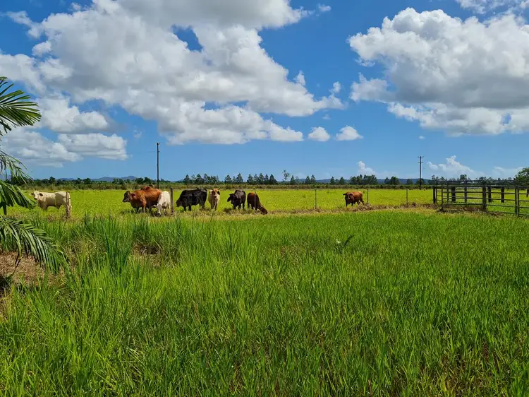 Lot 4 Kate Boylan Road, Mourilyan QLD 4858