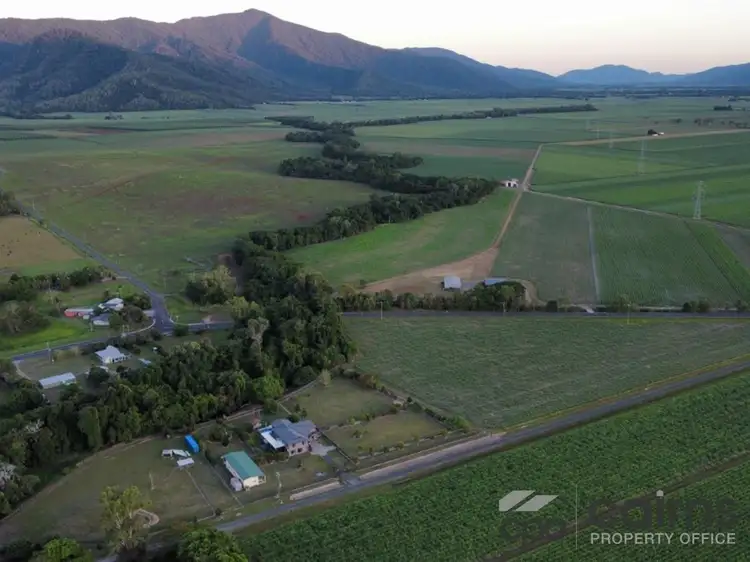 Fifth view of Homely rural property listing, Lot 3 Pine Creek Yarrabah Road, Gordonvale QLD 4865