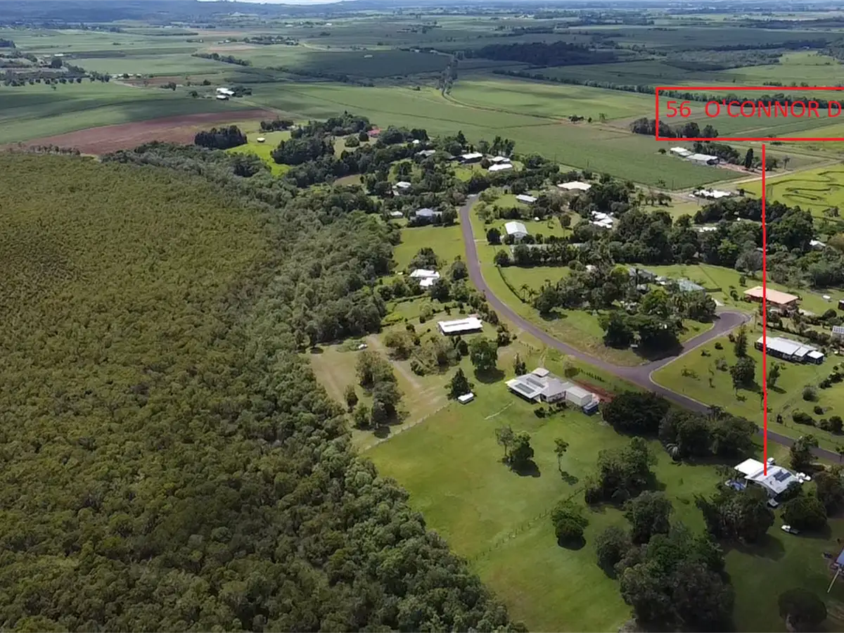 Main view of Homely rural property listing, 56 O'Connor Drive, Eubenangee QLD 4860