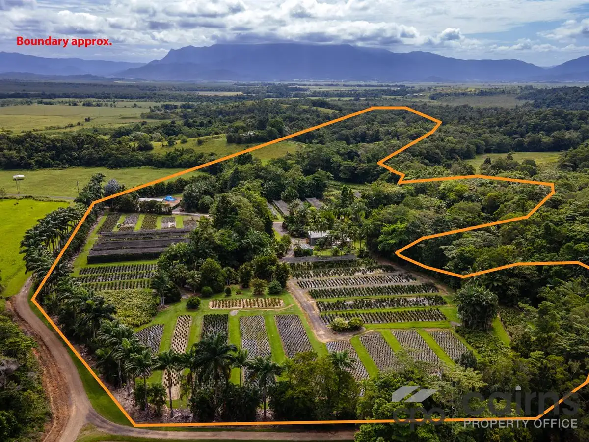 Main view of Homely rural property listing, 508 Dinner Creek Road, Eubenangee QLD 4860