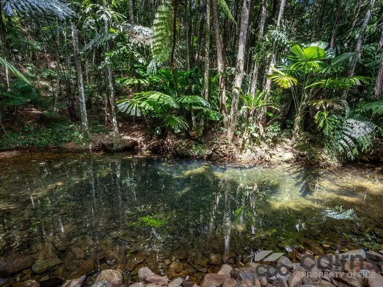 Fourth view of Homely rural property listing, 508 Dinner Creek Road, Eubenangee QLD 4860