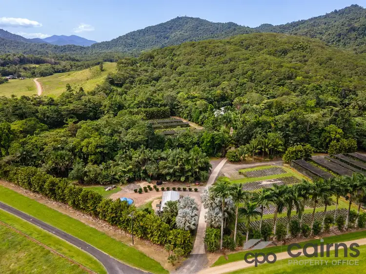 Fifth view of Homely rural property listing, 508 Dinner Creek Road, Eubenangee QLD 4860
