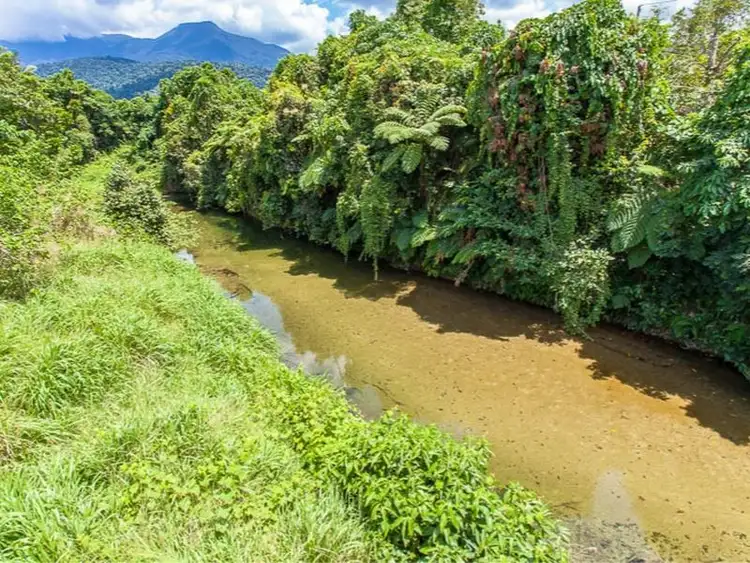 Third view of Homely rural property listing, 164 Bartle Frere Road, Mirriwinni QLD 4871