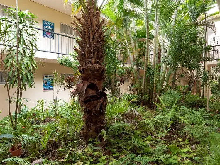 Fourth view of Homely unit listing, 7/141 Grafton Street, Cairns QLD 4870