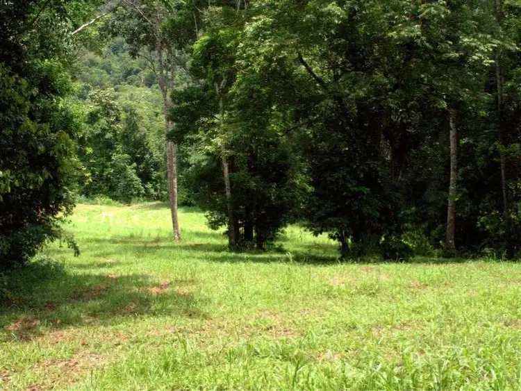 Fourth view of Homely rural property listing, Lot 4 Brays Road, Little Mulgrave QLD 4865