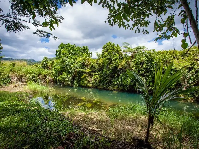 Main view of Homely rural property listing, 850 Woopen Creek Road, Mirriwinni QLD 4871