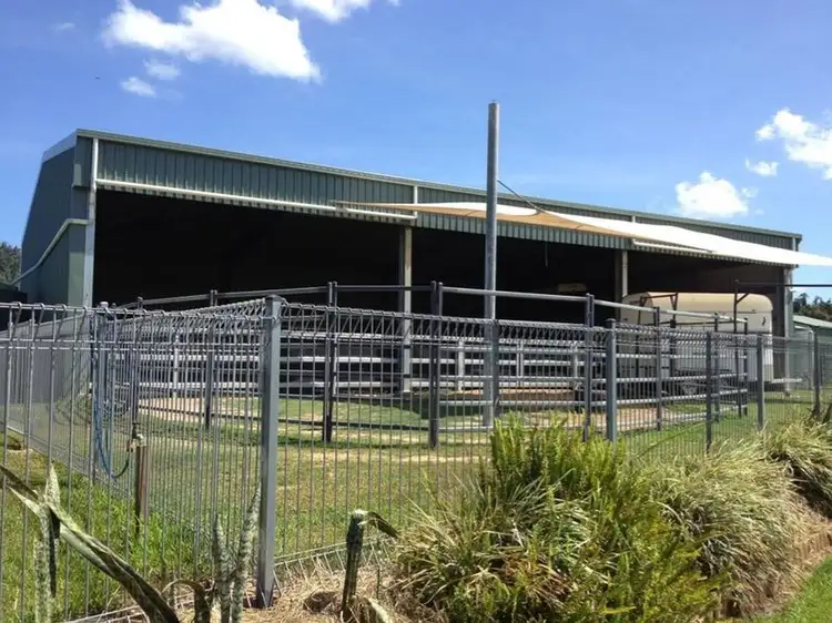 Sixth view of Homely rural property listing, 329 NO 4 BRANCH Road, Silkwood QLD 4856