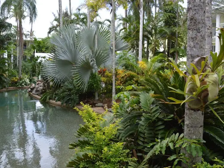 Fifth view of Homely unit listing, 5/219-225 McLeod Street, Cairns North QLD 4870