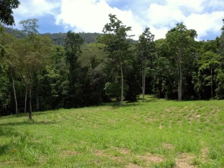 Sixth view of Homely rural property listing, Lot 4 Brays Road, Little Mulgrave QLD 4865