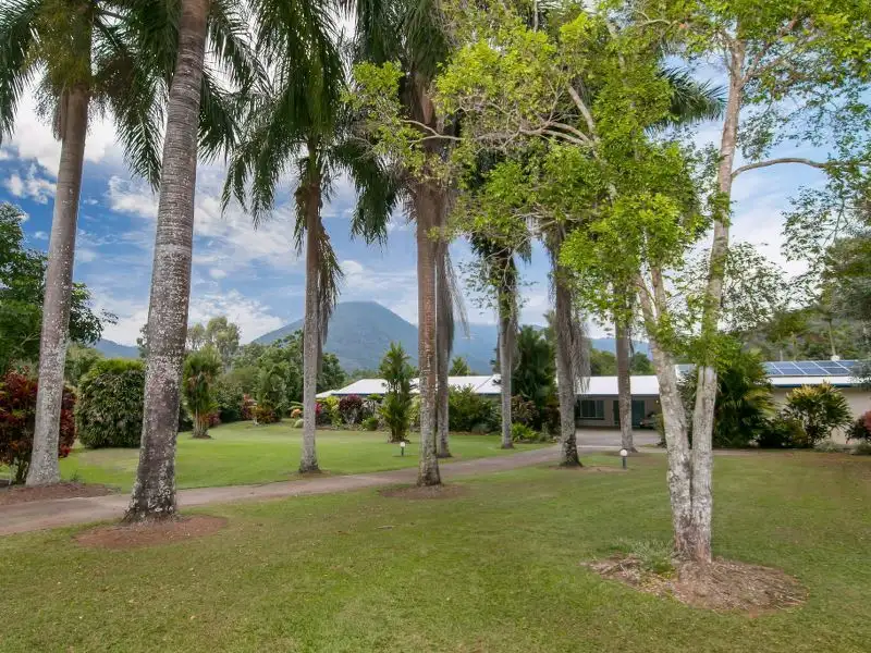 Main view of Homely house listing, 31-33 Corcoran Street, Gordonvale QLD 4865