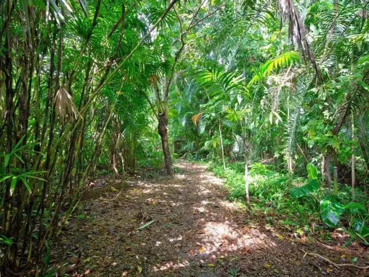Third view of Homely land listing, LOT 305/29 Sandwich Street, Kamerunga QLD 4870