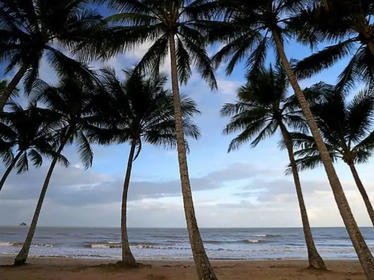 Sixth view of Homely land listing, LOT 97, 97 Cascade Boulevard, Palm Cove QLD 4879