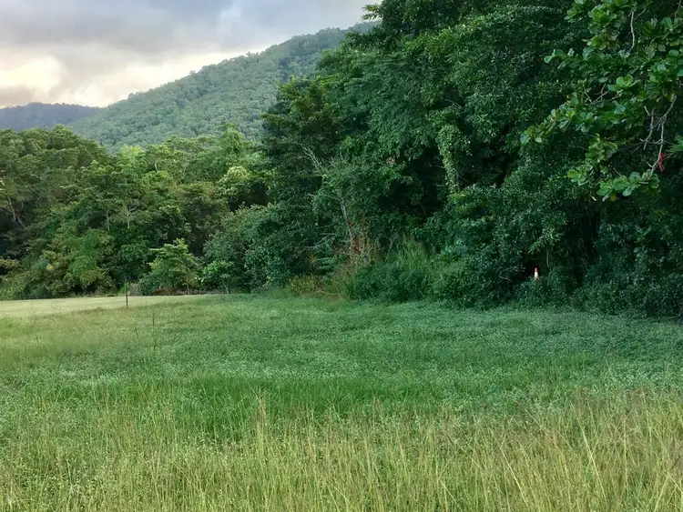Main view of Homely land listing, 73 Veivers Road, Palm Cove QLD 4879
