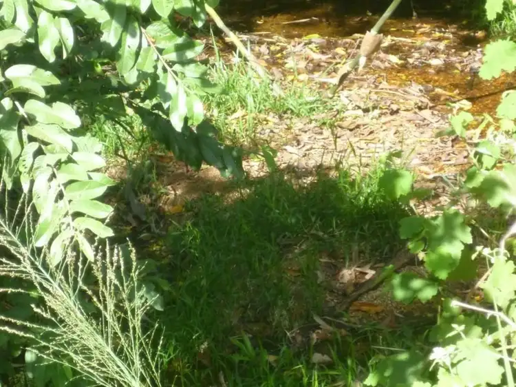 Third view of Homely land listing, Address available on request