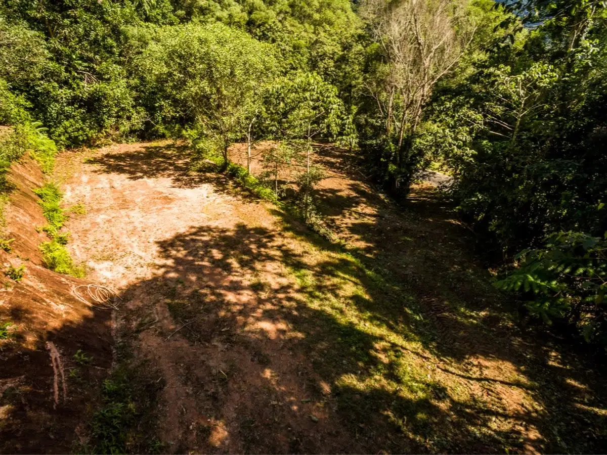 Main view of Homely land listing, 18-20 Frond Cl, Redlynch QLD 4870