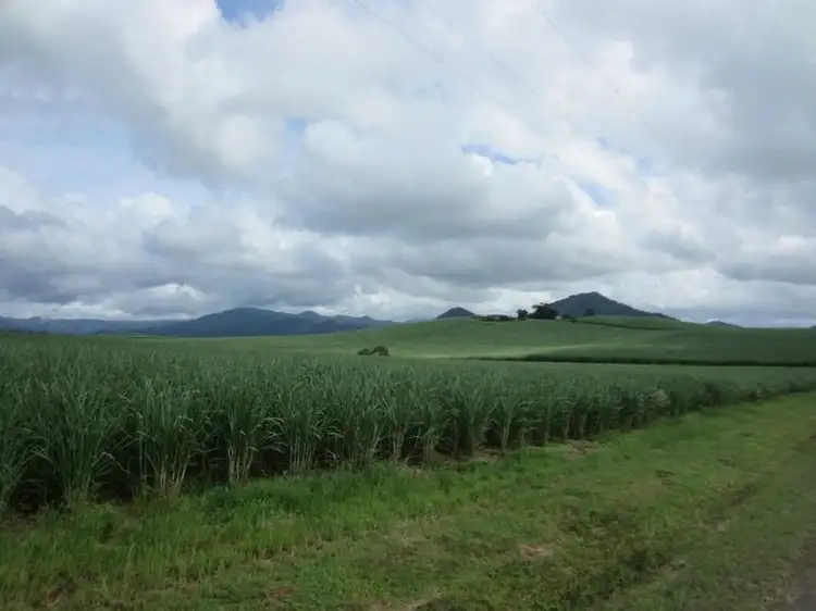 Main view of Homely rural property listing, L11 Gattera Road, Nerada QLD 4860