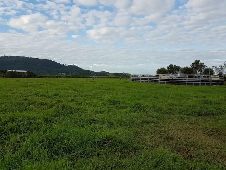 Sixth view of Homely rural property listing, 275 Walter Lever Estate, Silkwood QLD 4856