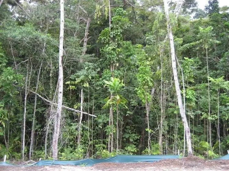 Lot 16 Tully Court, Kuranda QLD 4881
