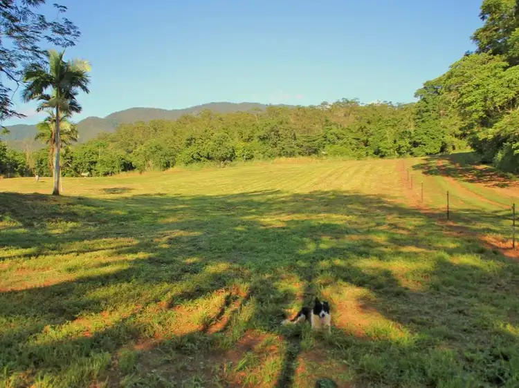 Fifth view of Homely rural property listing, 1 Brays Road, Little Mulgrave QLD 4865