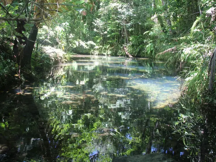 Fifth view of Homely rural property listing, 348R-360R Kruckow Road, Babinda QLD 4861