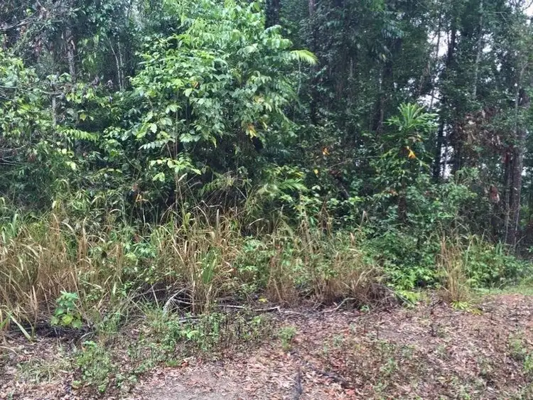 Seventh view of Homely land listing, Lot 5 Rosewood Dr, Kuranda QLD 4881