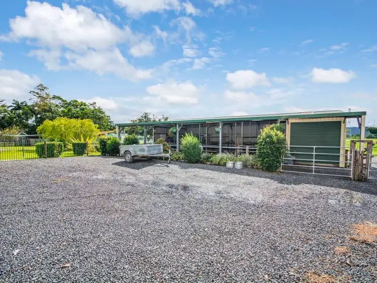 Fifth view of Homely rural property listing, 17 Bradgan Road, Deeral QLD 4871