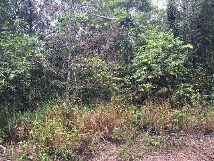Sixth view of Homely land listing, Lot 5 Rosewood Dr, Kuranda QLD 4881