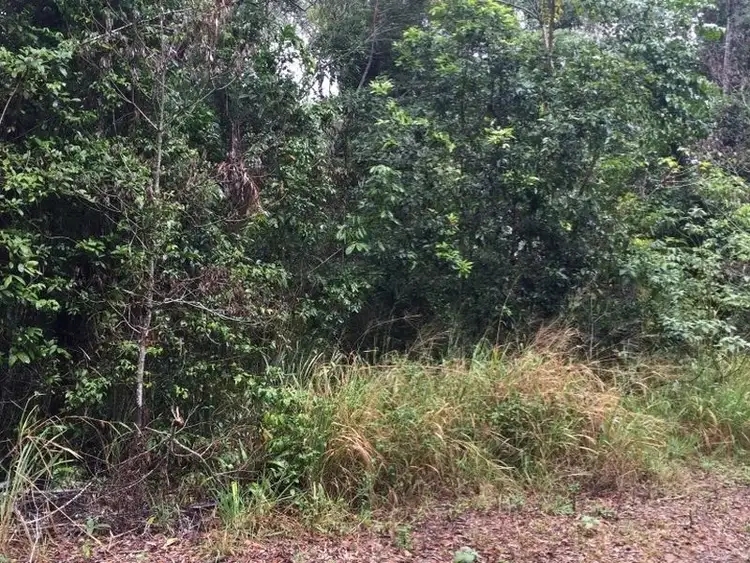 Third view of Homely land listing, Lot 5 Rosewood Dr, Kuranda QLD 4881