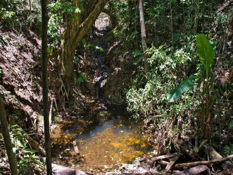 Seventh view of Homely land listing, Lot 201 Drift Close, Goldsborough QLD 4865