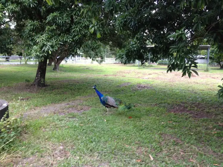 Fourth view of Homely land listing, 1-3 Greenacres Close, White Rock QLD 4868